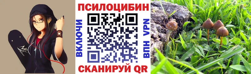 Галлюциногенные грибы Psilocybine cubensis Ядрин